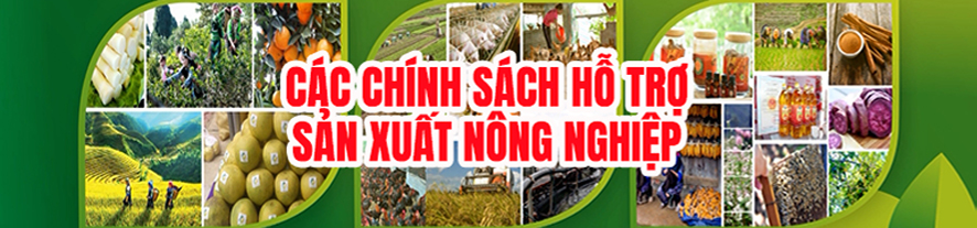 cac_chinh_sach